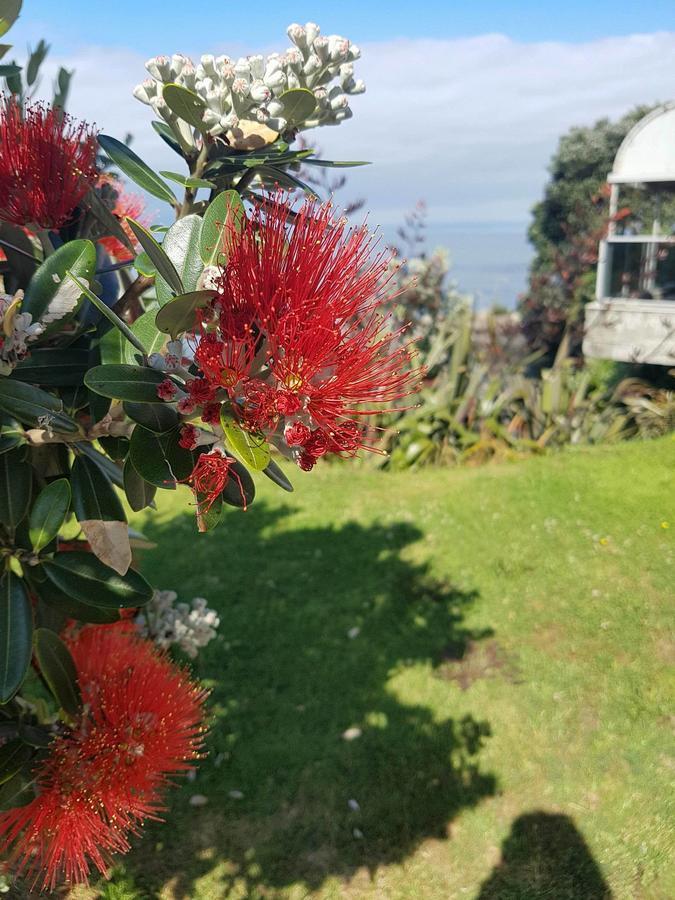Te Kaha Beach Hotel Экстерьер фото